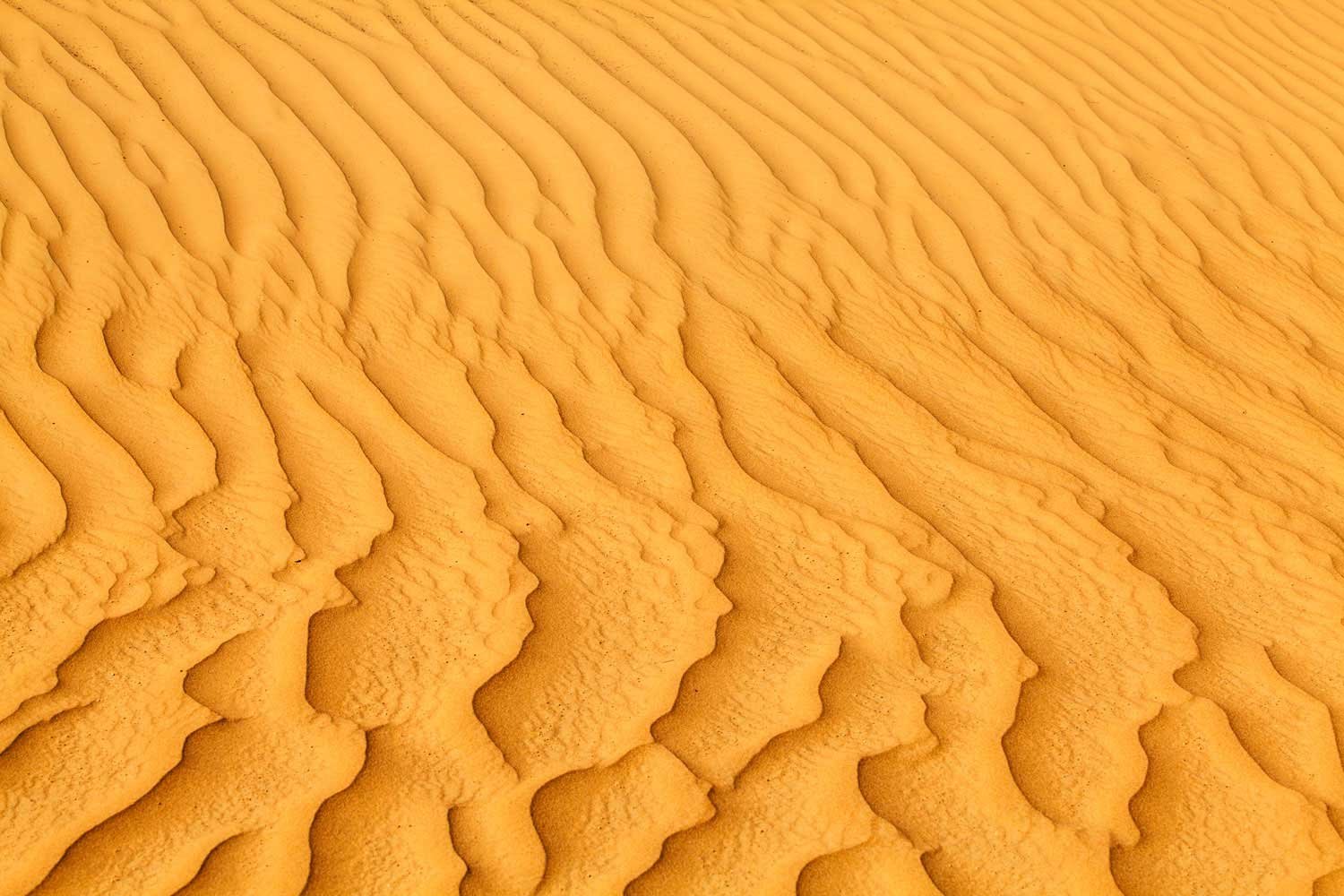Sand Dunes