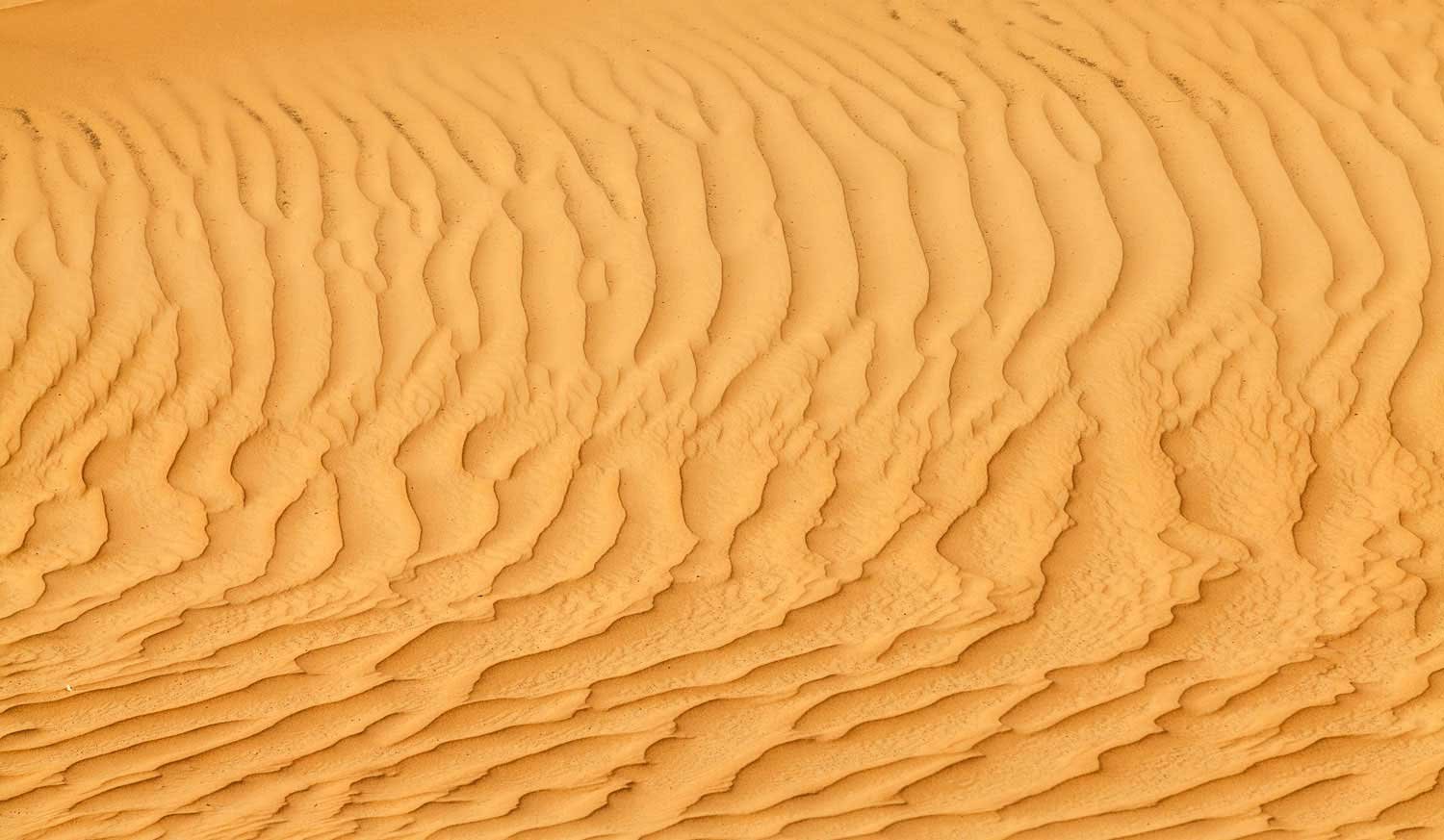 Sand Dunes